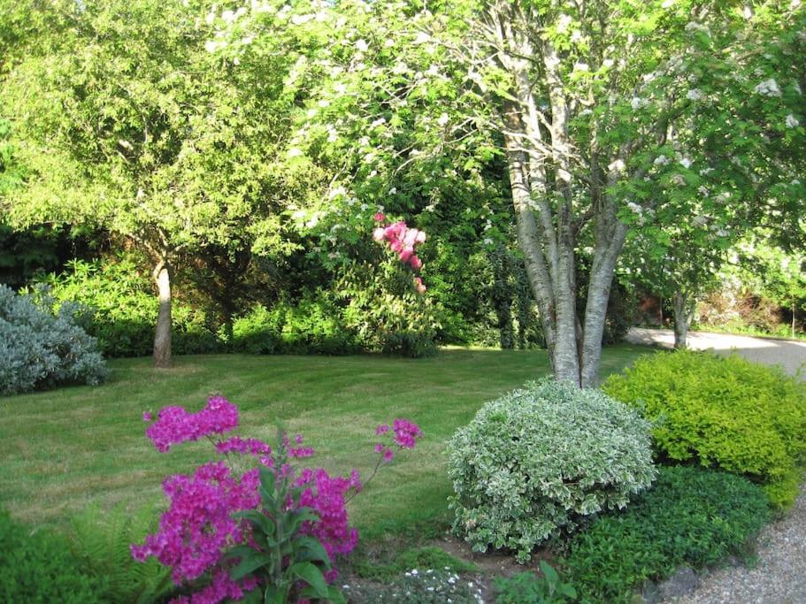Self Catering Apartment At Beechwalk House. Enniskerry Exteriér fotografie